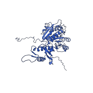 29383_8fqc_m1_v1-1
Structure of baseplate with receptor binding complex of Agrobacterium phage Milano