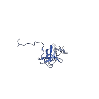 29383_8fqc_r1_v1-0
Structure of baseplate with receptor binding complex of Agrobacterium phage Milano