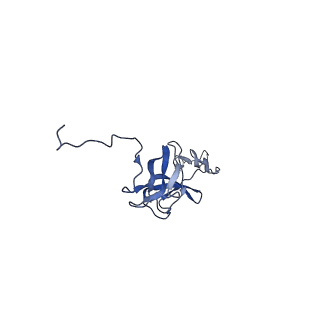 29383_8fqc_r1_v1-1
Structure of baseplate with receptor binding complex of Agrobacterium phage Milano