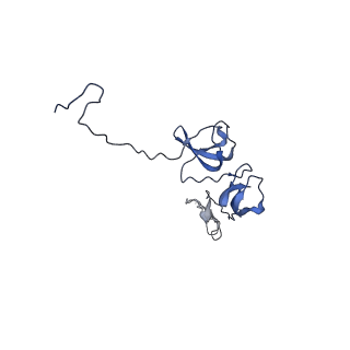 29383_8fqc_t1_v1-0
Structure of baseplate with receptor binding complex of Agrobacterium phage Milano