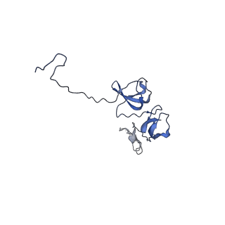 29383_8fqc_t1_v1-1
Structure of baseplate with receptor binding complex of Agrobacterium phage Milano