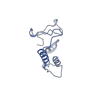 29383_8fqc_u1_v1-1
Structure of baseplate with receptor binding complex of Agrobacterium phage Milano