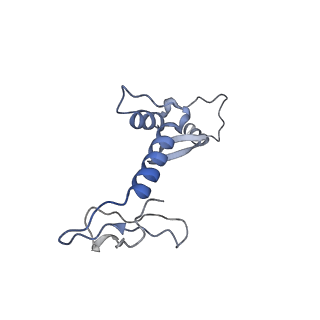 29383_8fqc_x1_v1-0
Structure of baseplate with receptor binding complex of Agrobacterium phage Milano