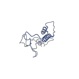 29383_8fqc_y1_v1-1
Structure of baseplate with receptor binding complex of Agrobacterium phage Milano