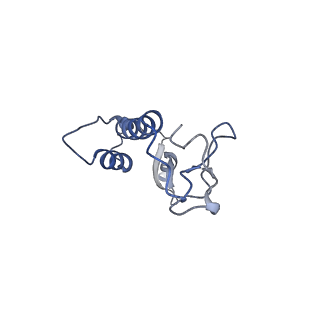 29383_8fqc_z1_v1-1
Structure of baseplate with receptor binding complex of Agrobacterium phage Milano