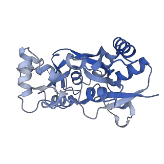 29384_8fqd_A_v1-1
LBD conformation 1 (LBDconf1) of GluA2 flip Q isoform of AMPA receptor in complex with gain-of-function TARP gamma2, with 10mM CaCl2, 140mM NMDG, 330uM CTZ, and 100mM L-glutamate (Open-Ca10)