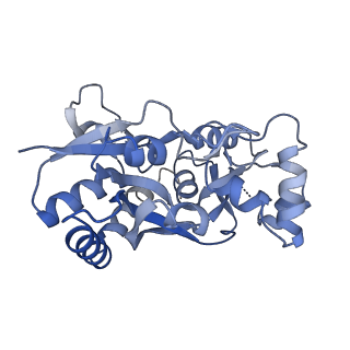 29384_8fqd_C_v1-1
LBD conformation 1 (LBDconf1) of GluA2 flip Q isoform of AMPA receptor in complex with gain-of-function TARP gamma2, with 10mM CaCl2, 140mM NMDG, 330uM CTZ, and 100mM L-glutamate (Open-Ca10)