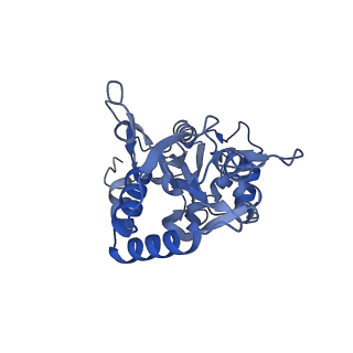 29384_8fqd_D_v1-1
LBD conformation 1 (LBDconf1) of GluA2 flip Q isoform of AMPA receptor in complex with gain-of-function TARP gamma2, with 10mM CaCl2, 140mM NMDG, 330uM CTZ, and 100mM L-glutamate (Open-Ca10)