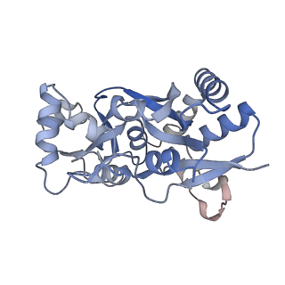 29385_8fqe_A_v1-1
LBD conformation 2 (LBDconf2) of GluA2 flip Q isoform of AMPA receptor in complex with gain-of-function TARP gamma2, with 10mM CaCl2, 140mM NMDG, 330uM CTZ, and 100mM L-glutamate (Open-Ca10)