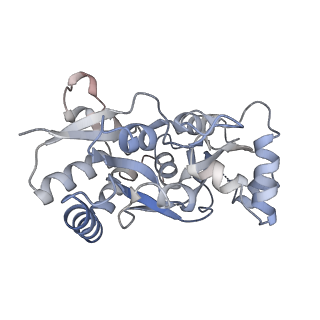 29385_8fqe_C_v1-1
LBD conformation 2 (LBDconf2) of GluA2 flip Q isoform of AMPA receptor in complex with gain-of-function TARP gamma2, with 10mM CaCl2, 140mM NMDG, 330uM CTZ, and 100mM L-glutamate (Open-Ca10)