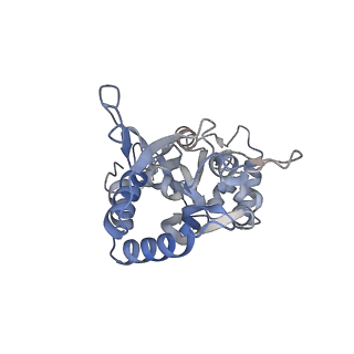 29385_8fqe_D_v1-1
LBD conformation 2 (LBDconf2) of GluA2 flip Q isoform of AMPA receptor in complex with gain-of-function TARP gamma2, with 10mM CaCl2, 140mM NMDG, 330uM CTZ, and 100mM L-glutamate (Open-Ca10)