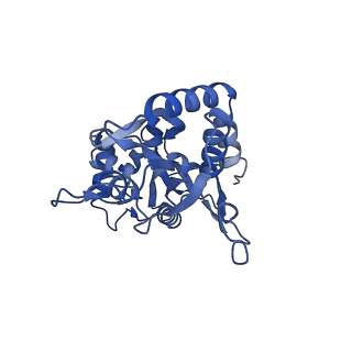 29387_8fqg_B_v1-2
LBD conformation 1 (LBDconf1) of GluA2 flip Q isoform of AMPA receptor in complex with gain-of-function TARP gamma-2, with 150mM NaCl, 330uM CTZ, and 100mM glutamate (Open-Na260)