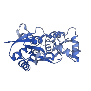 29387_8fqg_C_v1-2
LBD conformation 1 (LBDconf1) of GluA2 flip Q isoform of AMPA receptor in complex with gain-of-function TARP gamma-2, with 150mM NaCl, 330uM CTZ, and 100mM glutamate (Open-Na260)