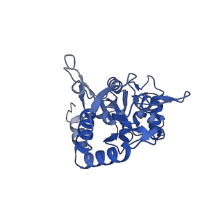 29387_8fqg_D_v1-2
LBD conformation 1 (LBDconf1) of GluA2 flip Q isoform of AMPA receptor in complex with gain-of-function TARP gamma-2, with 150mM NaCl, 330uM CTZ, and 100mM glutamate (Open-Na260)