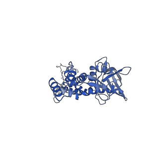 29392_8fql_A_v1-0
Portal vertex of HK97 phage