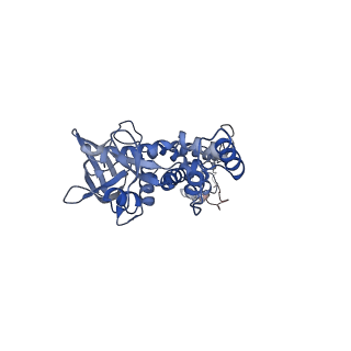 29392_8fql_G_v1-0
Portal vertex of HK97 phage