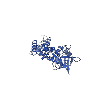 29392_8fql_L_v1-0
Portal vertex of HK97 phage