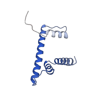 4297_6fq5_D_v1-1
Class 1 : canonical nucleosome