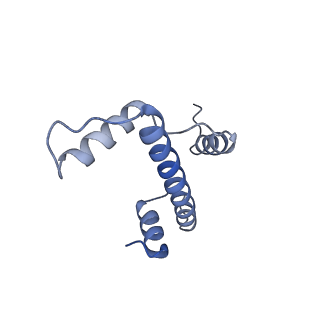 4297_6fq5_E_v1-1
Class 1 : canonical nucleosome