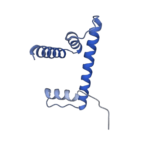 4297_6fq5_H_v1-1
Class 1 : canonical nucleosome