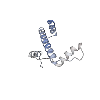 4298_6fq6_A_v1-1
Class 2 : distorted nucleosome