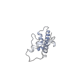 4298_6fq6_C_v1-1
Class 2 : distorted nucleosome