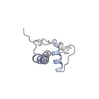 4298_6fq6_F_v1-1
Class 2 : distorted nucleosome
