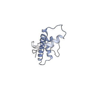 4298_6fq6_G_v1-1
Class 2 : distorted nucleosome