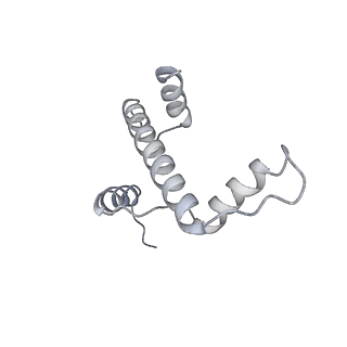 4299_6fq8_A_v1-1
Class 3 : translocated nucleosome