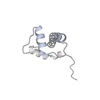 4299_6fq8_B_v1-1
Class 3 : translocated nucleosome