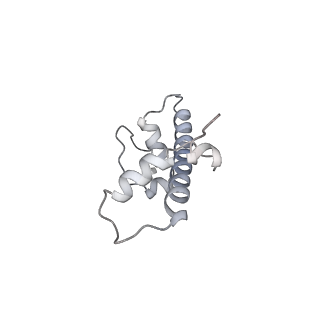 4299_6fq8_C_v1-1
Class 3 : translocated nucleosome
