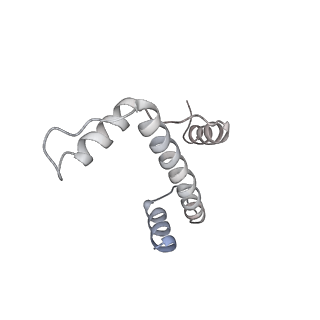 4299_6fq8_E_v1-1
Class 3 : translocated nucleosome