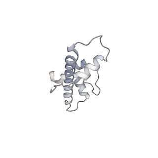4299_6fq8_G_v1-1
Class 3 : translocated nucleosome