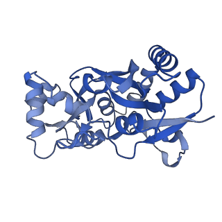 29394_8fr0_A_v1-2
LBD conformation 3 (LBDconf3) of GluA2 flip Q isoform of AMPA receptor in complex with gain-of-function TARP gamma-2, with 150mM NaCl, 330uM CTZ, and 100mM glutamate (Open-Na260)