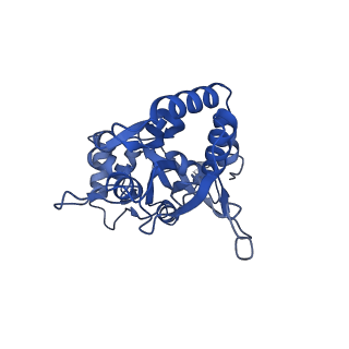 29394_8fr0_B_v1-2
LBD conformation 3 (LBDconf3) of GluA2 flip Q isoform of AMPA receptor in complex with gain-of-function TARP gamma-2, with 150mM NaCl, 330uM CTZ, and 100mM glutamate (Open-Na260)