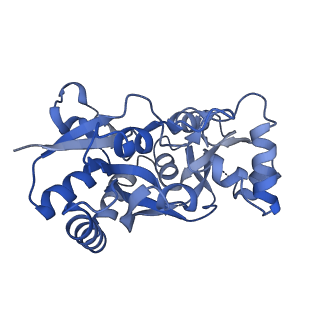 29394_8fr0_C_v1-2
LBD conformation 3 (LBDconf3) of GluA2 flip Q isoform of AMPA receptor in complex with gain-of-function TARP gamma-2, with 150mM NaCl, 330uM CTZ, and 100mM glutamate (Open-Na260)