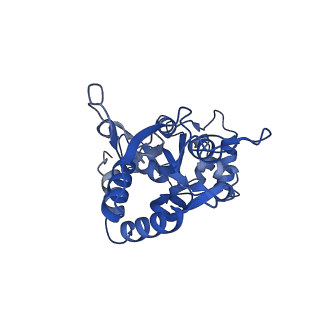 29394_8fr0_D_v1-2
LBD conformation 3 (LBDconf3) of GluA2 flip Q isoform of AMPA receptor in complex with gain-of-function TARP gamma-2, with 150mM NaCl, 330uM CTZ, and 100mM glutamate (Open-Na260)