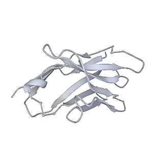 29396_8fr6_D_v1-2
Antibody vFP53.02 in complex with HIV-1 envelope trimer BG505 DS-SOSIP