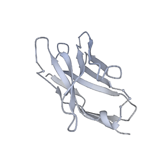 29396_8fr6_H_v1-2
Antibody vFP53.02 in complex with HIV-1 envelope trimer BG505 DS-SOSIP