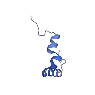 29397_8fr8_0_v1-1
Structure of Mycobacterium smegmatis Rsh bound to a 70S translation initiation complex