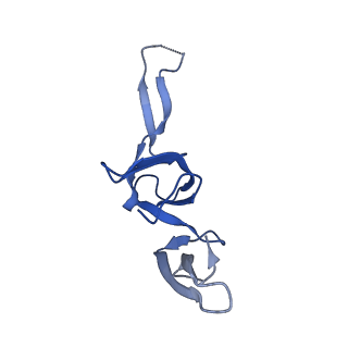 29397_8fr8_1_v1-1
Structure of Mycobacterium smegmatis Rsh bound to a 70S translation initiation complex