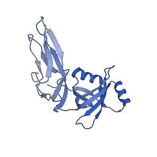 29397_8fr8_2_v1-1
Structure of Mycobacterium smegmatis Rsh bound to a 70S translation initiation complex