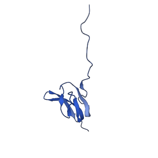 29397_8fr8_4_v1-1
Structure of Mycobacterium smegmatis Rsh bound to a 70S translation initiation complex
