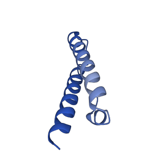 29397_8fr8_6_v1-1
Structure of Mycobacterium smegmatis Rsh bound to a 70S translation initiation complex