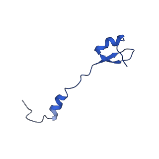 29397_8fr8_8_v1-1
Structure of Mycobacterium smegmatis Rsh bound to a 70S translation initiation complex