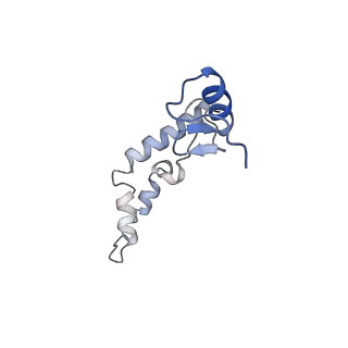 29397_8fr8_9_v1-1
Structure of Mycobacterium smegmatis Rsh bound to a 70S translation initiation complex