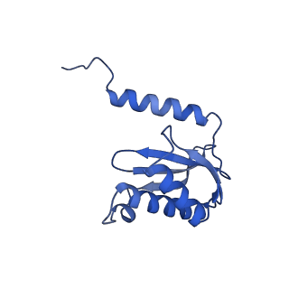 29397_8fr8_D_v1-1
Structure of Mycobacterium smegmatis Rsh bound to a 70S translation initiation complex