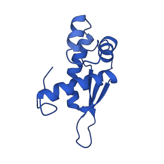 29397_8fr8_J_v1-1
Structure of Mycobacterium smegmatis Rsh bound to a 70S translation initiation complex