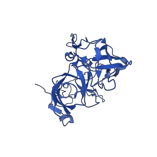 29397_8fr8_K_v1-1
Structure of Mycobacterium smegmatis Rsh bound to a 70S translation initiation complex