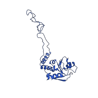29397_8fr8_M_v1-1
Structure of Mycobacterium smegmatis Rsh bound to a 70S translation initiation complex